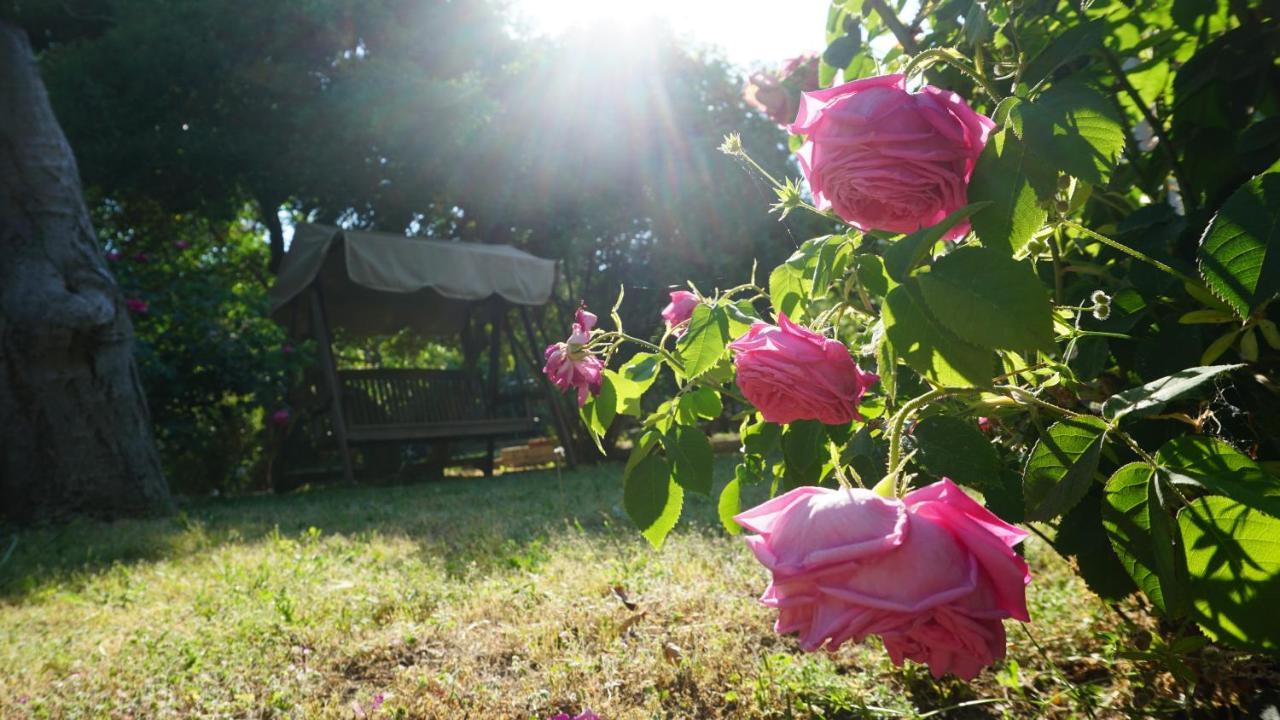 Kavet Palio Cottage Палеон-Цифликион Экстерьер фото